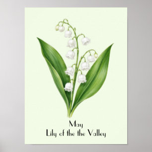 May Lily of the Valley Flowers Poster