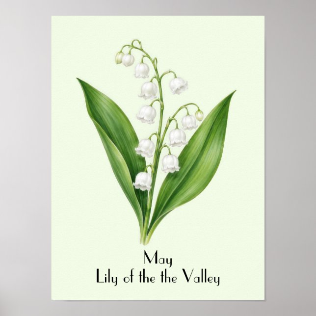 May Lily of the Valley Flowers Poster (Front)