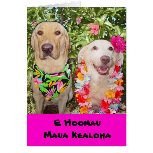 May Our Love Last Forever! (Front)