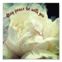 May Peace Be With You Peony Inspirational 8x8