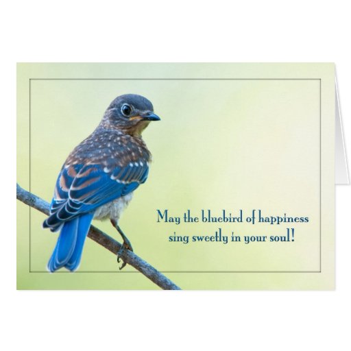 May the Bluebird of Happiness Sing Sweetly . . . Card | Zazzle