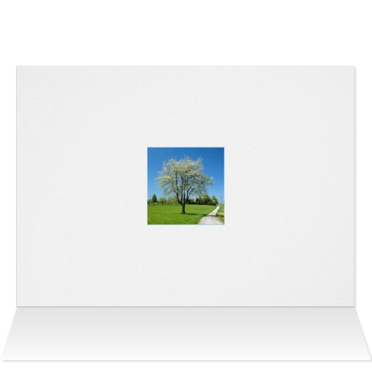 MAY THE ROAD RISE UP TO MEET YOU. (Inside Horizontal (Top))