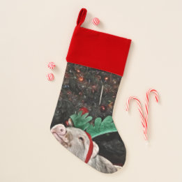 May the spirit of Christmas, Pig Christmas Stocking