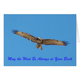 "May the Wind Always be at Your Back...." Cards