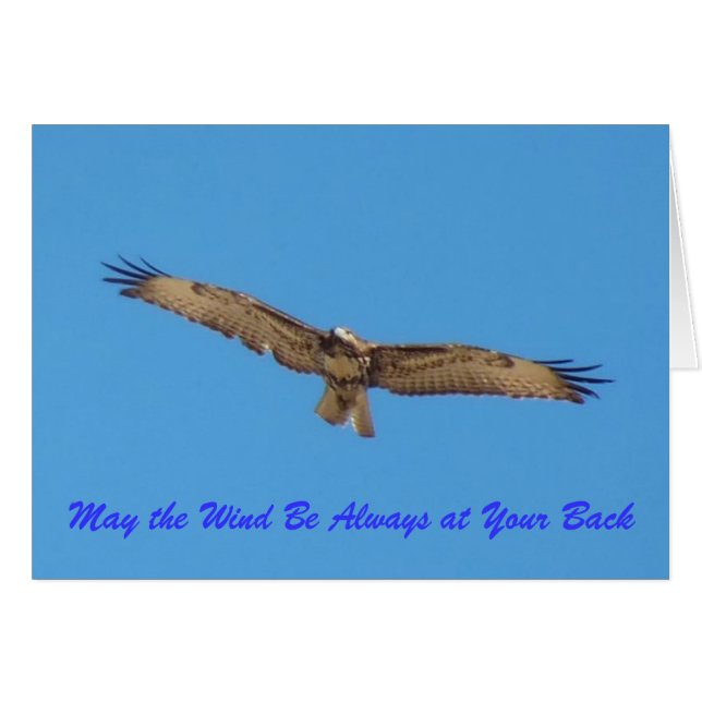 "May the Wind Always be at Your Back...." Cards (Front Horizontal)