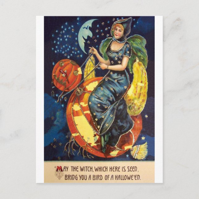 May this Witch Bring You a bird of Halloween Postcard (Front)