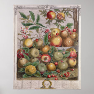May, 'Twelve Months of Fruits' Poster