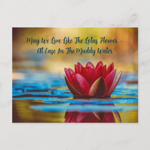 May We Live Like Lotus Flower Quote Inspirational  Announcement Postcard
