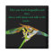 May You Touch Dragonflies