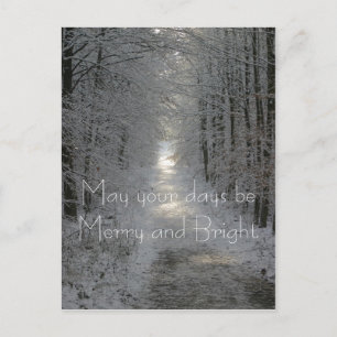 May your days be Merry and Bright Holiday Postcard