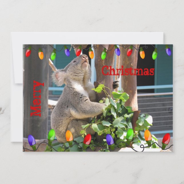 May Your Lights Shine Bright. Koala Christmas Holiday Card (Front)