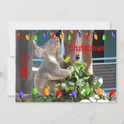 May Your Lights Shine Bright Koala Christmas Holiday Card