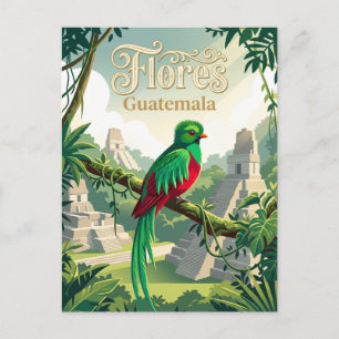 Maya Biosphere Reserve Guatemala Postcard