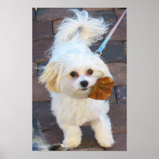 Maya with Leaf Print