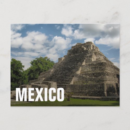 Mayan Pyramid Postcard