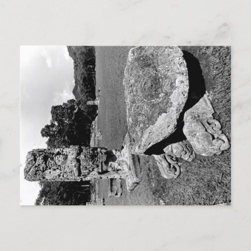 Mayan Ruins of Copan Cosmic Turtle Postcard