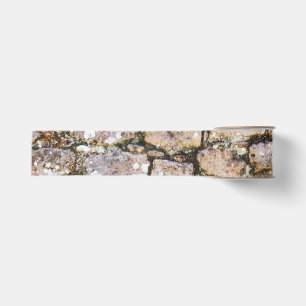 Mayan Ruins Wall Grosgrain Ribbon