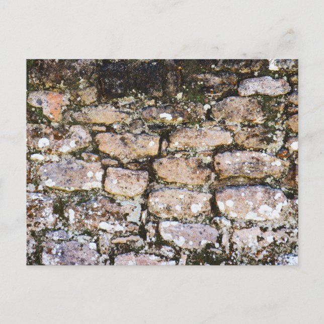 Mayan Ruins Wall  Postcard (Front)