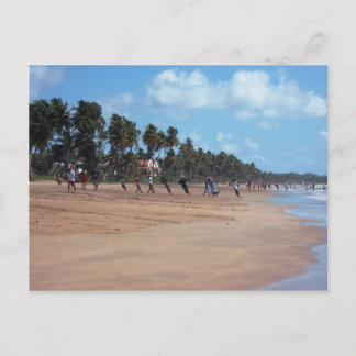 Mayaro Beach Early Morning Fishing Postcard