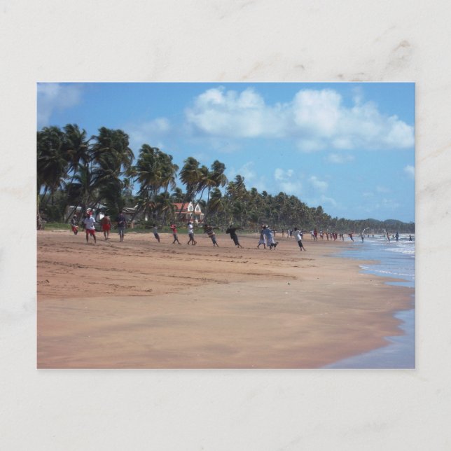 Mayaro Beach Early Morning Fishing Postcard (Front)