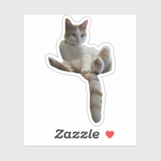 Maybe You Should Cover That Up? Cat Sticker