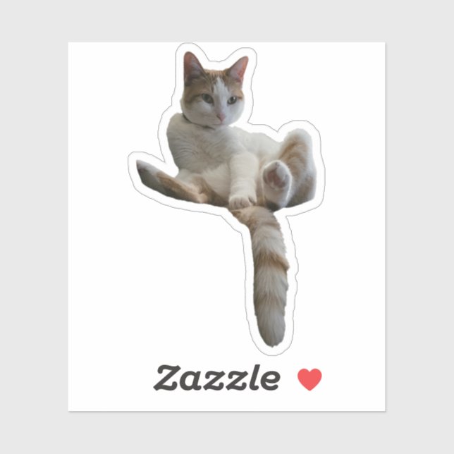 Maybe You Should Cover That Up? Cat Sticker (Sheet)