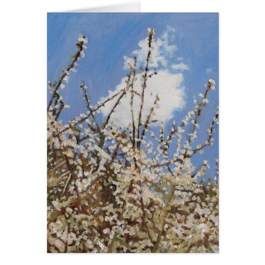 Mayflower 2012 (Front)