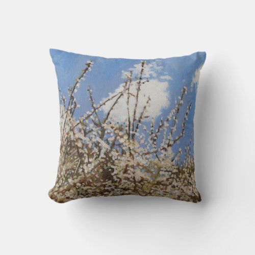 Mayflower 2012 throw pillow