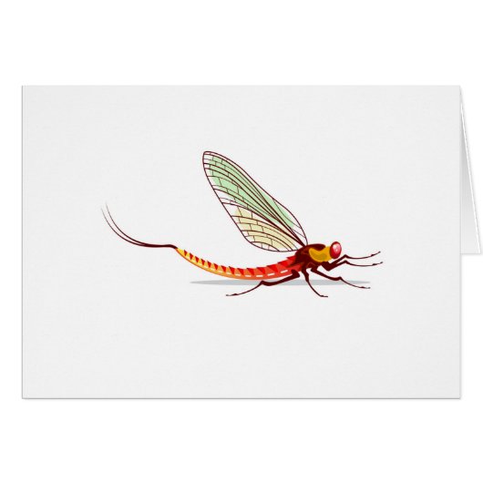 Mayfly vector cards (Front Horizontal)