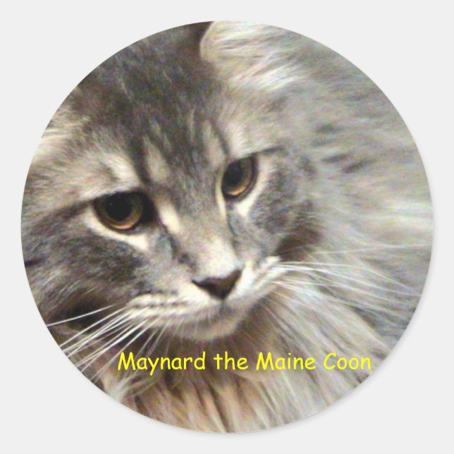 Maynard the Maine Coon Classic Round Sticker (Front)