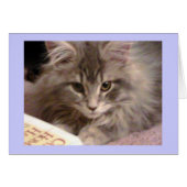 Maynard's Trashy Novel Card (Front Horizontal)