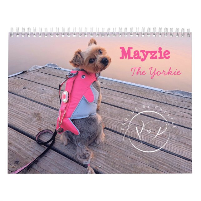 Mayzie Calendar V (2024 Style) (Cover)