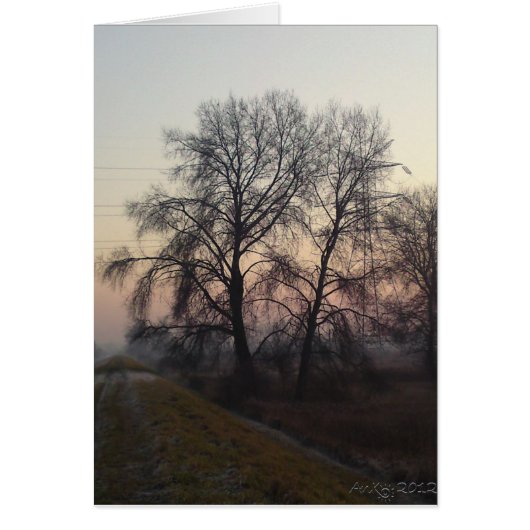 Mazovian Landscapes 1 (Front)