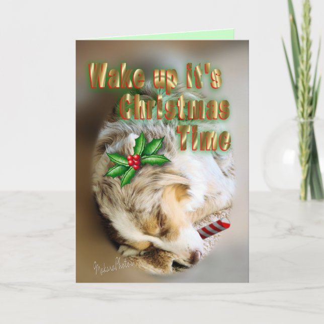 MC Dixie Christmas-customize Holiday Card (Front)
