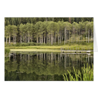 McCall Pond Cards