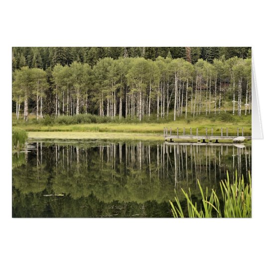McCall Pond Cards (Front Horizontal)