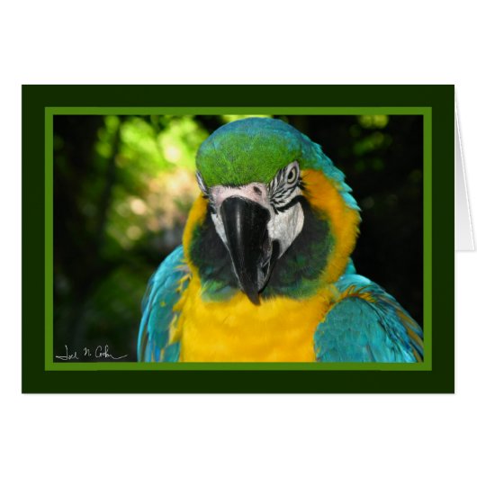 McCaw (Front Horizontal)