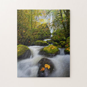 McCord Creek Bigleaf Maple Columbia Gorge, OR Jigsaw Puzzle