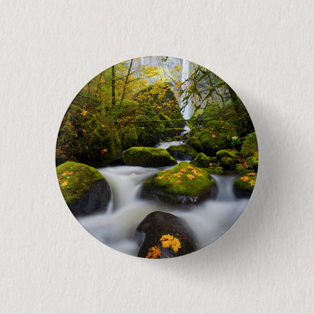 McCord Creek Bigleaf Maple | Columbia Gorge, OR Pinback Button (Front)