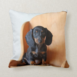 McCoy the Dachshund Square Pillow