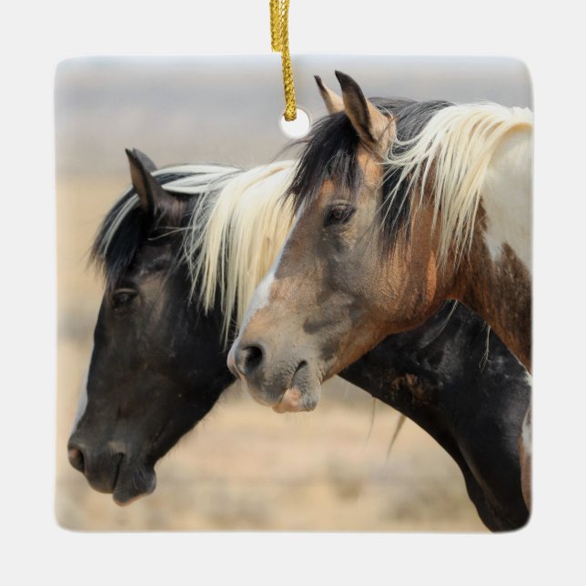McCullough Peaks Traveler Wild Horse Ceramic Ornam Ornament (Front)