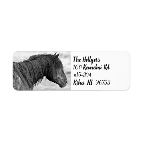 McCullough Peaks Wild Horse Address Label