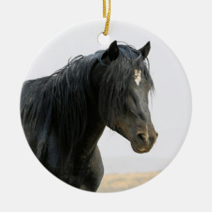 McCullough Peaks Wild Horse Jet Stream Ceramic Orn Ceramic Ornament