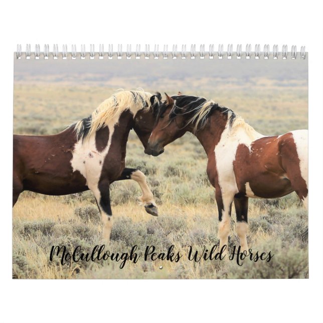McCullough Peaks Wild Horses Calendar (Cover)