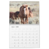 McCullough Peaks Wild Horses Calendar (Mar 2025)