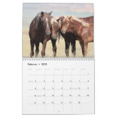 McCullough Peaks Wild Horses Calendar (Feb 2025)