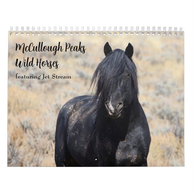 McCullough Peaks Wild Horses Calendar (Cover)