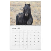 McCullough Peaks Wild Horses Calendar (Jan 2025)
