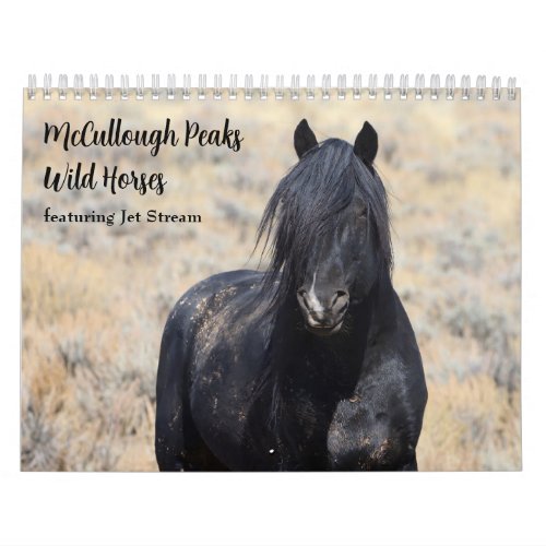McCullough Peaks Wild Horses Calendar