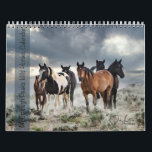 McCullough Peaks Wild Horses Calendar<br><div class="desc">This is a collection of images taken by Deb Little of the beautiful wild horses of the McCullough Peaks in Wyoming. www.deblittle.com</div>